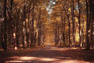 Similar image 10498397