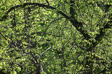 Similar image 10498398