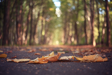 Similar image 10498399