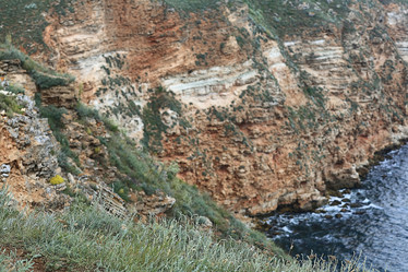 Similar image 10498404