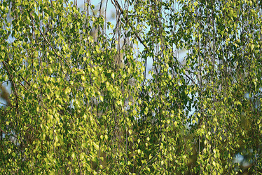 Similar image 10498406