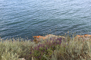 Similar image 10498408