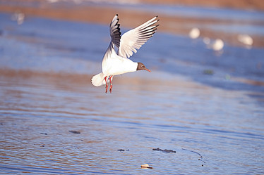 Similar image 10498432