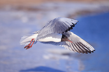 Similar image 10498434