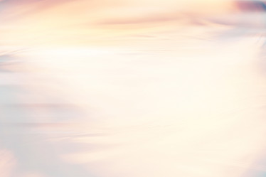 Similar image 10498435