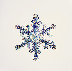 Similar image 10498454