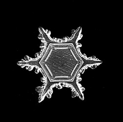 Similar image 10498460