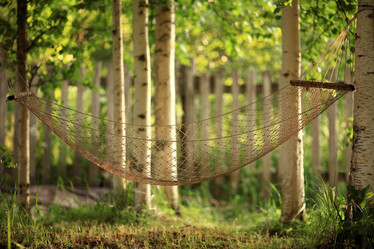 Similar image 10498461