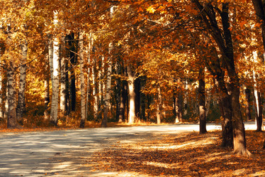 Similar image 10498463