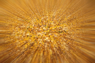 Similar image 10498467