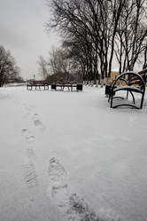 Similar image 10498470