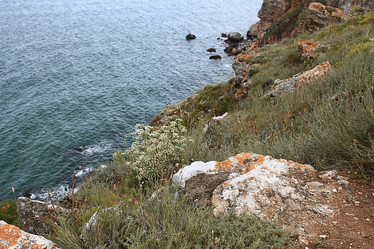 Similar image 10498474