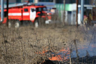 Similar image 10498477