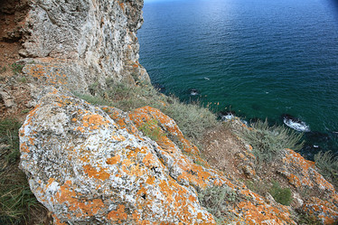 Similar image 10498478