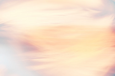 Similar image 10498488