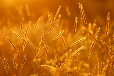 Similar image 10498491