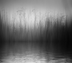 Similar image 10498492