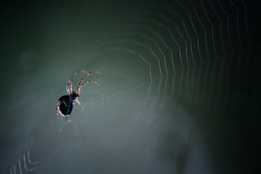 Similar image 10498495