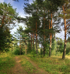 Similar image 10498499