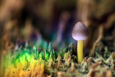 Similar image 10498503