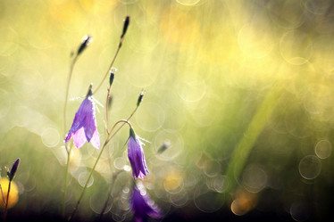 Similar image 10498505