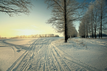 Similar image 10498506