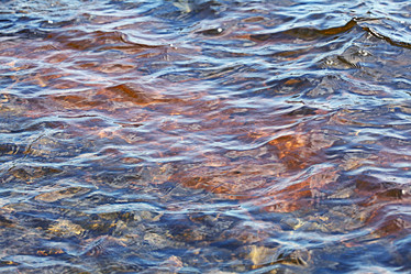 Similar image 10498512