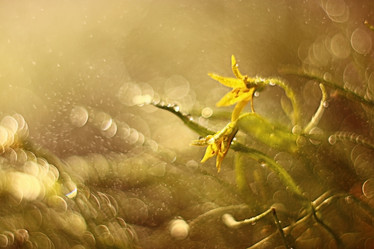 Similar image 10498516