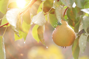 Similar image 10498517