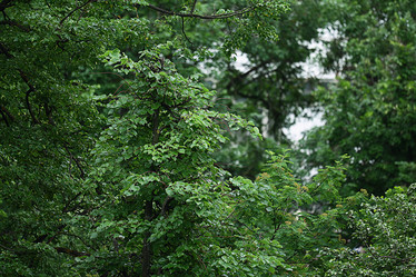 Similar image 10498523