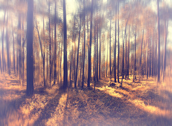 Similar image 10498525