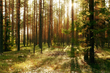 Similar image 10498526