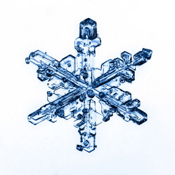 Similar image 10498528