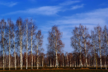 Similar image 10498530