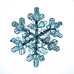 Similar image 10498531