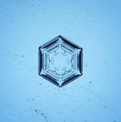 Similar image 10498534