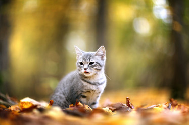 Similar image 10498537