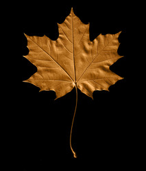 Similar image 10498539