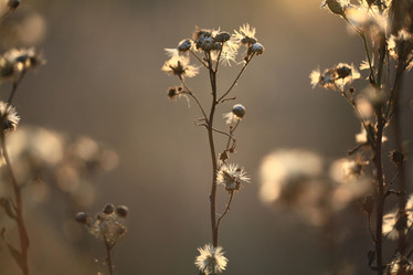 Similar image 10498544