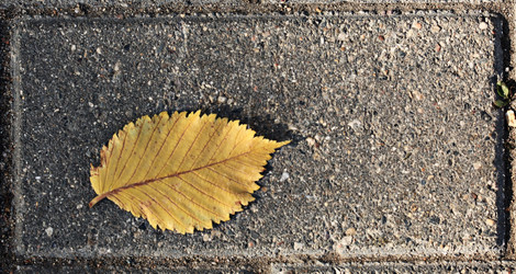 Similar image 10498545