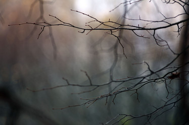 Similar image 10498550