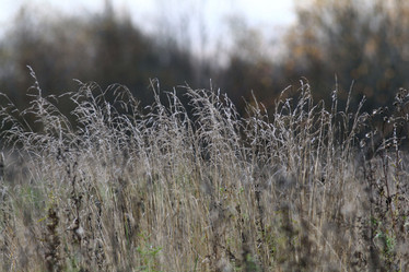 Similar image 10498551