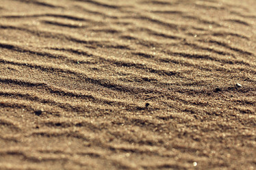 Similar image 10498555