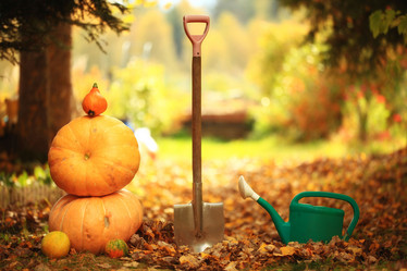 Similar image 10498556