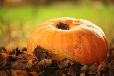 Similar image 10498557