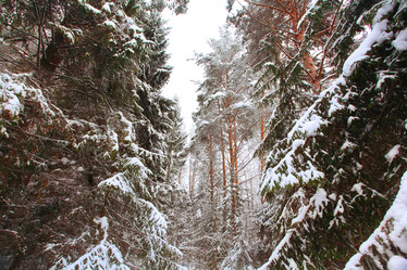 Similar image 10498558