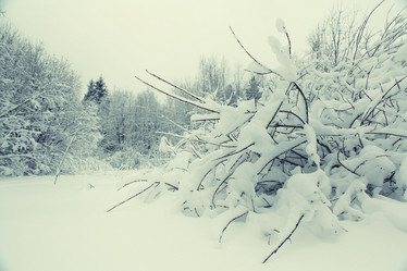 Similar image 10498560