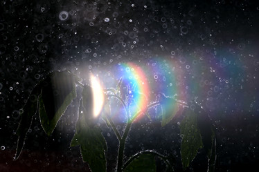 Similar image 10498563