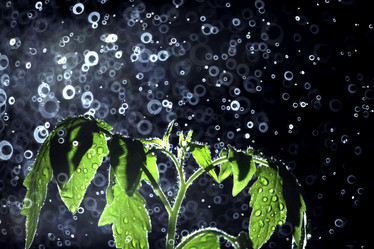 Similar image 10498564