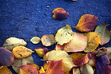 Similar image 10498565